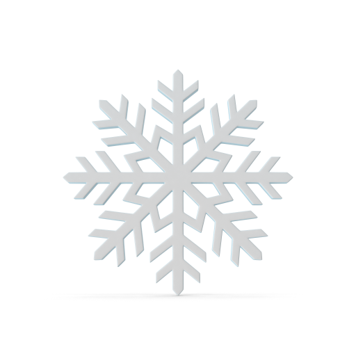 simbolo gomme invernali