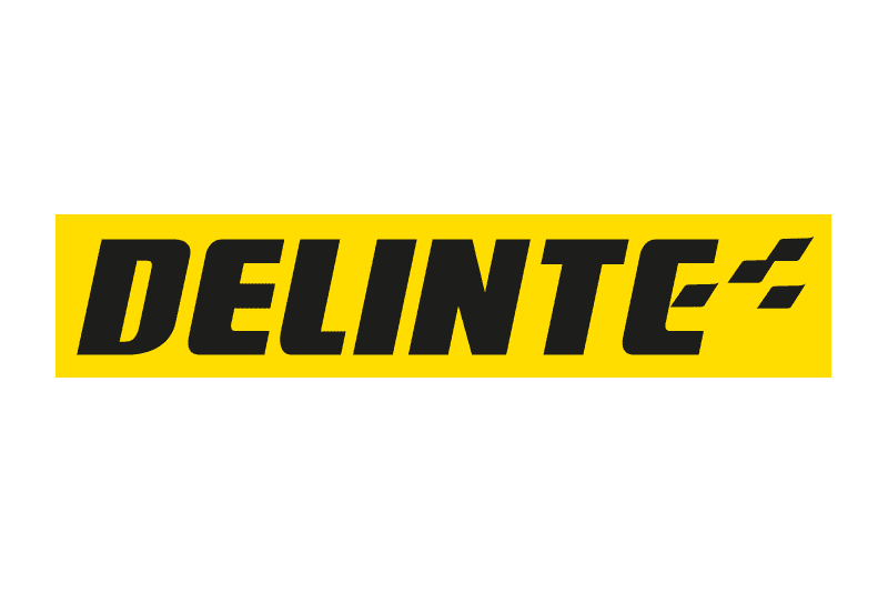 logo delinte