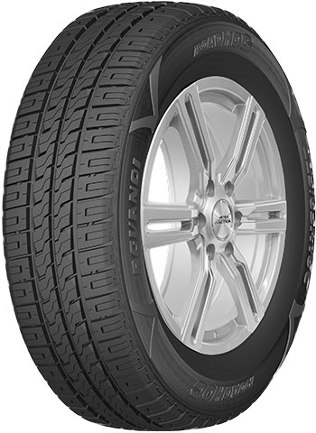 ROADHOG RGVAN01 205/65 R16 T