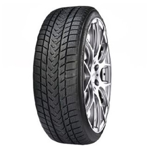 GRIPMAX PRO WINTER XL BSW M+S 3PMSF 225/40 R19 V