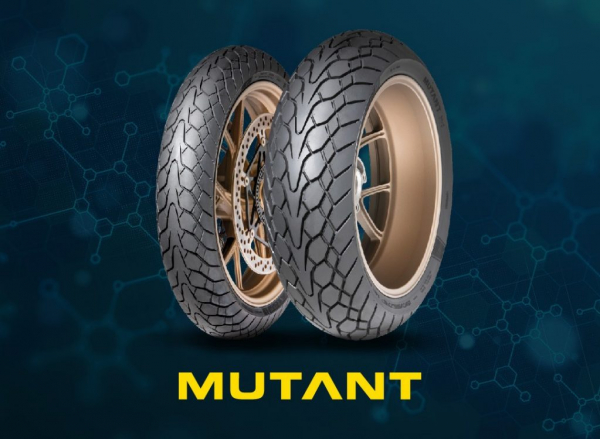 DUNLOP M+S MUTANT 160/60 R17 W
